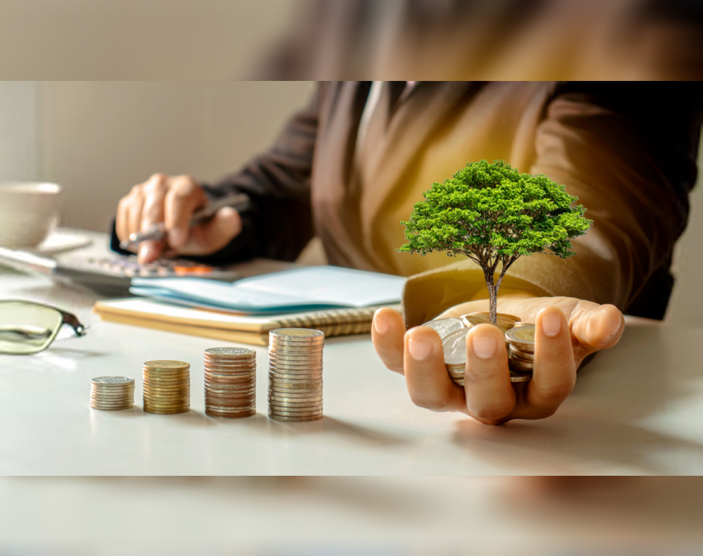 NEWS18 - Multi-Cap Vs Flexi-Cap Funds: Choosing the Right Fit for Your Portfolio